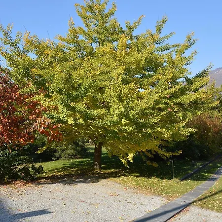 Appartement Tista By Fewotessin *